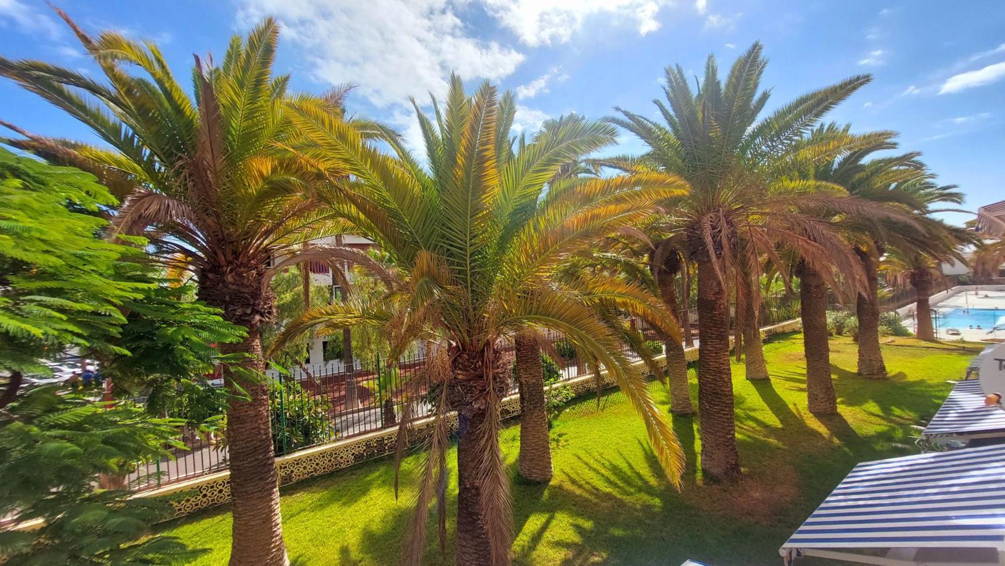 Apartamento Margarita Con Piscina En Playa Honda, Playa Las Americas 아로나 외부 사진